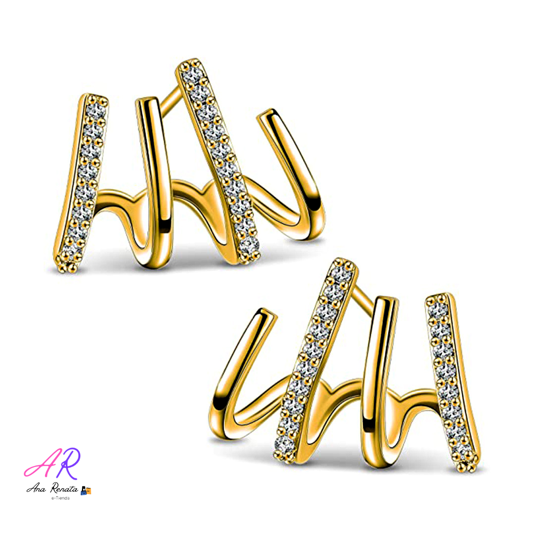 Aretes Claw